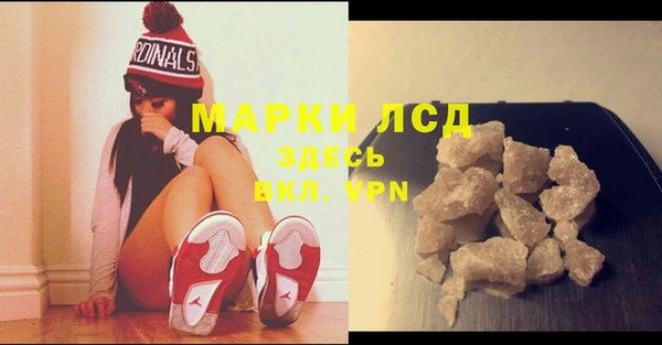spice Аркадак