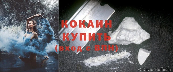 spice Аркадак
