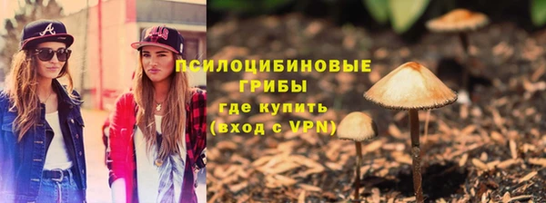 spice Аркадак