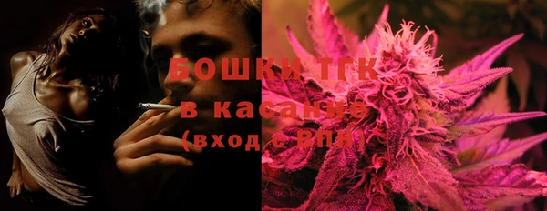 spice Аркадак